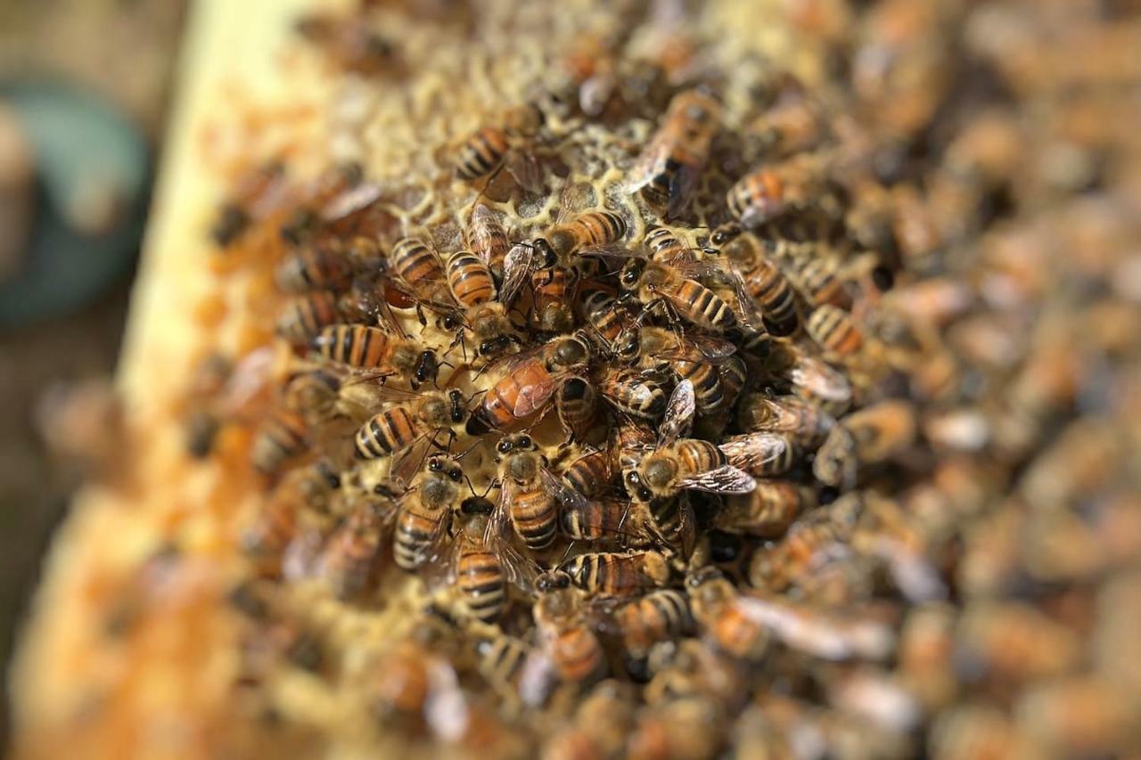 The Hive Stefy'S Apartment Iglesias Zewnętrze zdjęcie